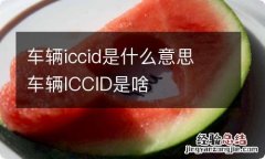 车辆iccid是什么意思 车辆ICCID是啥