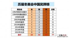 平昌冬奥会中国队得了几块奖牌