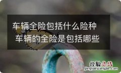 车辆全险包括什么险种 车辆的全险是包括哪些险种?