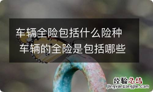 车辆全险包括什么险种 车辆的全险是包括哪些险种?