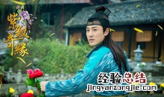 紫钗奇缘男主角到底是谁的儿子 紫钗奇缘纳兰东身世