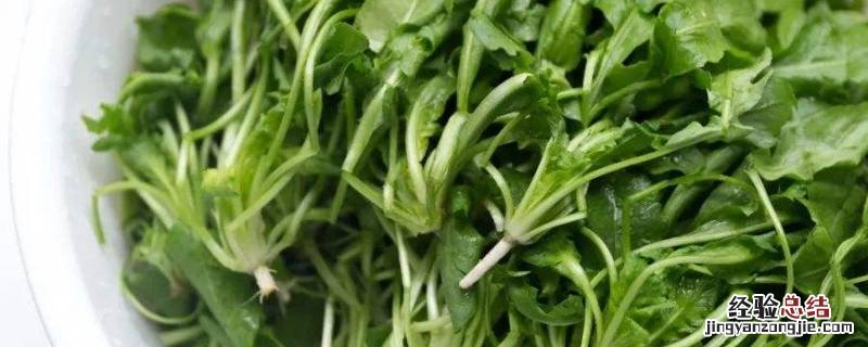 荠菜放冰箱里怎么保存