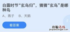 今日蚂蚁庄园小鸡课堂正确答案最新：白露时节玄鸟归的玄鸟是哪种鸟？白露时节哪种植物开