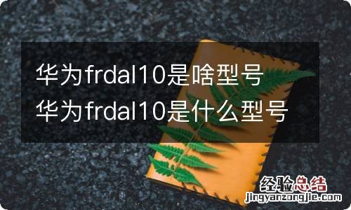 华为frdal10是啥型号 华为frdal10是什么型号