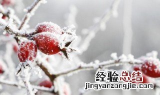 1986年腊月二十四是什么星座 腊月二十四是什么星座
