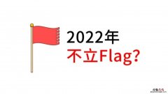 新年flag什么意思