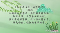 子规啼什么意思