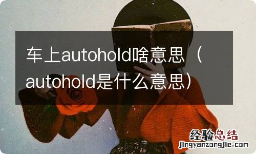 autohold是什么意思 车上autohold啥意思