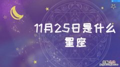 11月11日是什么星座