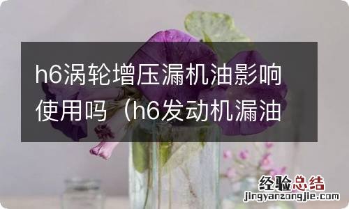 h6发动机漏油通病吗 h6涡轮增压漏机油影响使用吗