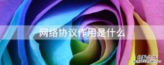 网络协议作用是什么