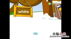 WHITE是什么颜色