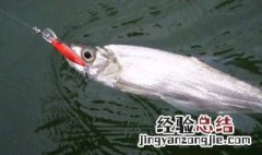 海竿钓鳜鱼技巧 海竿钓鳜鱼有什么技巧