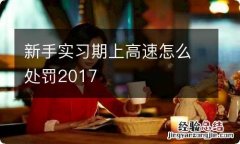 新手实习期上高速怎么处罚2017