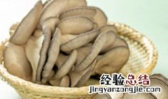 蘑菇怎样保存放的时间长一点 蘑菇在家怎么保存的更久