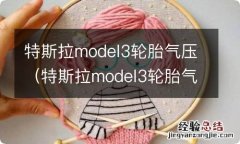 特斯拉model3轮胎气压灯怎么消除 特斯拉model3轮胎气压