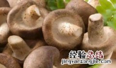 香菇种植多长时间能采收 种香菇的时间