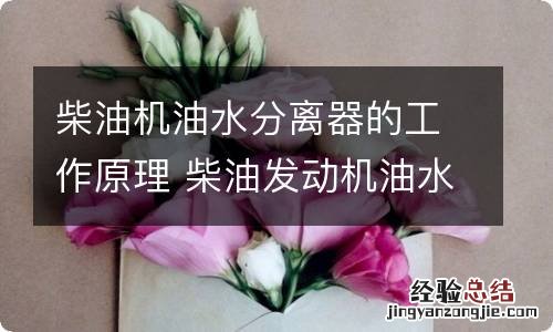 柴油机油水分离器的工作原理 柴油发动机油水分离器工作原理
