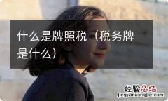 税务牌是什么 什么是牌照税