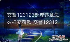 交警123123处理违章怎么样交罚款 交警123123处理违章怎么样交罚款的