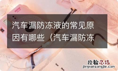 汽车漏防冻液是什么原因造成的?怎么办 汽车漏防冻液的常见原因有哪些