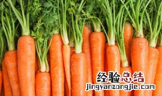 胡萝卜可以放冰箱吗 胡萝卜放冰箱么