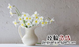 插花必学技巧 如何学习插花