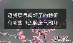 迈腾废气阀坏了继续行驶会有什么后果 迈腾废气阀坏了的特征有哪些