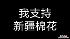 b站里说的贾斯丁布布是什么意思