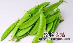 荷兰豆长大了就叫豌豆吗 荷兰豆是豌豆吗