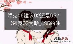 领克03为啥加95的油 领克06建议92还是95？