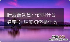 叶辰萧初然小说叫什么名字 叶辰萧初然是什么小说的角色