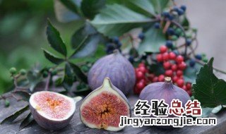 十月份移栽无花果能活吗 10月份可以移栽无花果树吗