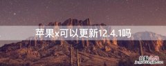 iPhonex可以更新12.4.1吗