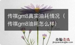 传祺gm8油耗怎么样 传祺gm8真实油耗情况