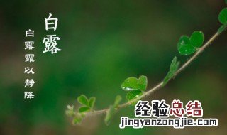 白露有什么特征 白露节气特征介绍