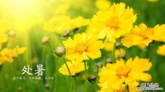 处暑是什么季节