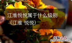 江淮 悦悦 江淮悦悦属于什么级别