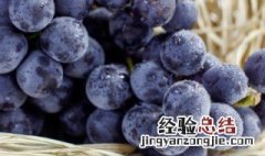 9月是什么水果成熟的季节 9月份是什么水果季节