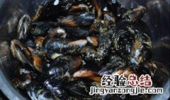 海虹怎么清洗 海虹怎么清洗海虹煮多久