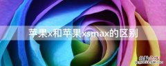 iPhonex和iPhonexsmax的区别