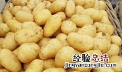 大量土豆怎么保存方法 保存大量土豆方法