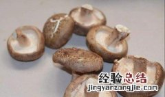 菘茸怎么保存 新鲜松茸保存方法