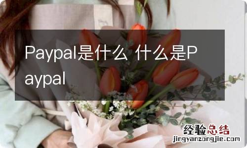 Paypal是什么 什么是Paypal