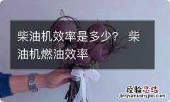 柴油机效率是多少？ 柴油机燃油效率