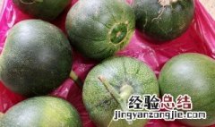 露地甜瓜夏季最晚什么时候种植 露地甜瓜夏季最晚什么时候种植最好