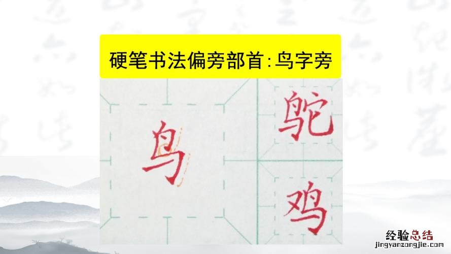 鸟字旁的字