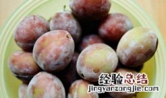 西梅夏天怎么保存 西梅的保存方法