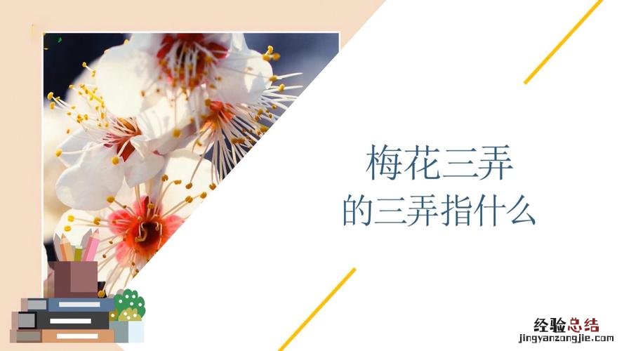 梅花三弄是什么意思