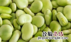 蚕豆什么季节成熟 蚕豆的成熟期